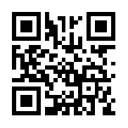 同人精忠报国岳飞传无敌版