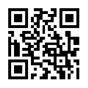 武器之王破解版