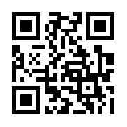 醉八仙手游私服版