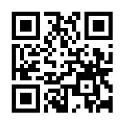 秀美主题手机版