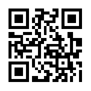 闪艺后宫宛真传完结破解版