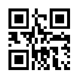 少女都市虫虫助手版