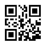 九天仙缘定制版