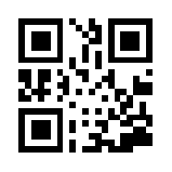 跑跑西游新春版