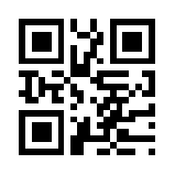 红杏高清免费视频